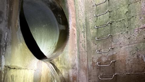 October drain visit - IMG_2110.jpg