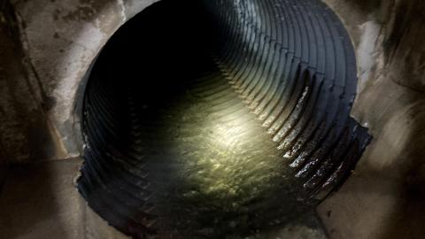 October drain visit - IMG_2114.jpg