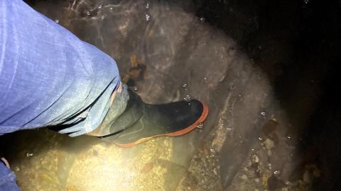 October drain visit - IMG_2117.jpg