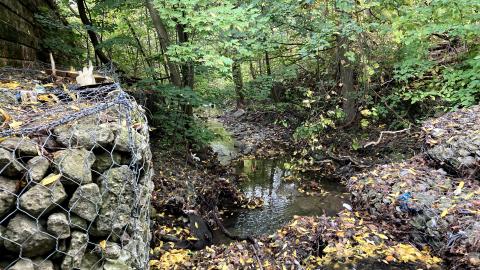 October drain visit - IMG_2120.jpg