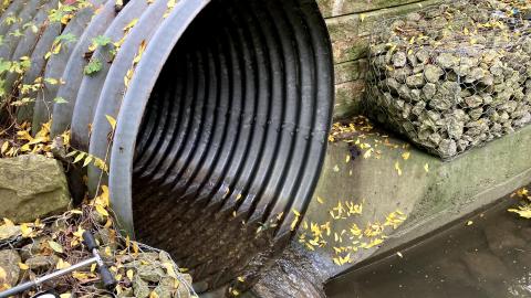 October drain visit - IMG_2121.jpg