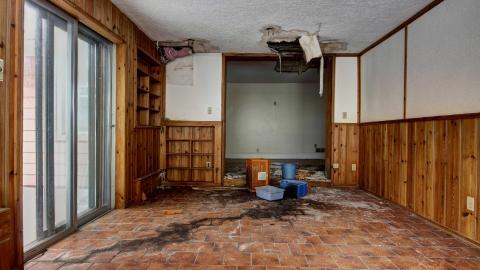 January 2021 - Collages22.jpg