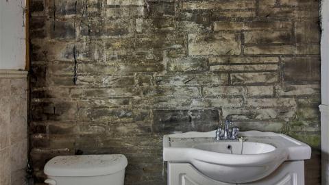 January 2021 - Collages29.jpg