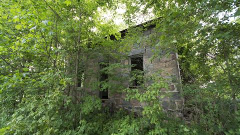 Diamond on a Landmine - July 2017 - DSC_0656.jpg