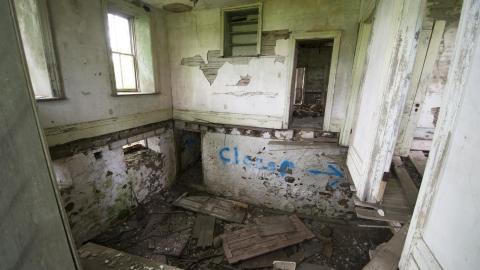 Diamond on a Landmine - July 2017 - DSC_0657.jpg