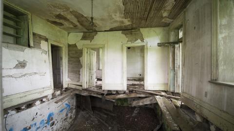 Diamond on a Landmine - July 2017 - DSC_0659.jpg