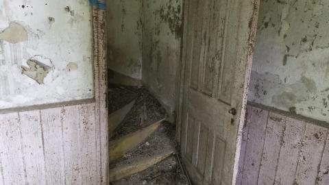 Diamond on a Landmine - July 2017 - DSC_0664.jpg