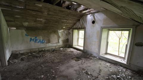 Diamond on a Landmine - July 2017 - DSC_0672.jpg