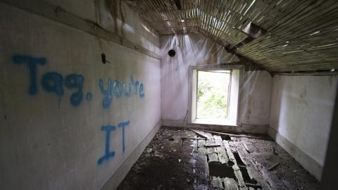 Diamond on a Landmine - July 2017 - DSC_0674.jpg