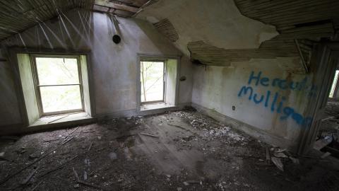 Diamond on a Landmine - July 2017 - DSC_0675.jpg