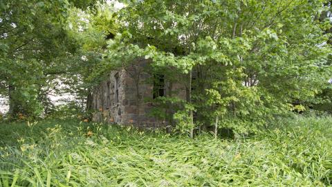 Diamond on a Landmine - July 2017 - DSC_0694.jpg