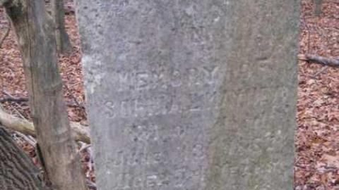 Lyndhurst Pioneer Cemetery - Lyndhurst--Pioneer-Cemetery10.jpg