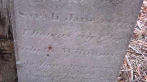 Lyndhurst  Pioneer Cemetery photo 3