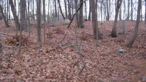 Lyndhurst  Pioneer Cemetery photo 2