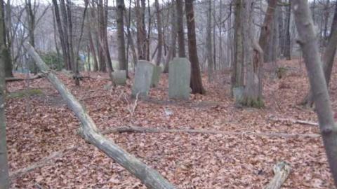 Lyndhurst Pioneer Cemetery - Lyndhurst--Pioneer-Cemetery1.jpg
