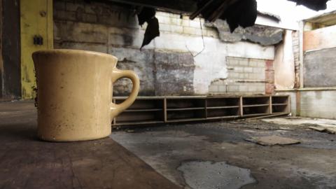 Lyons Creek Elementary School photo 4