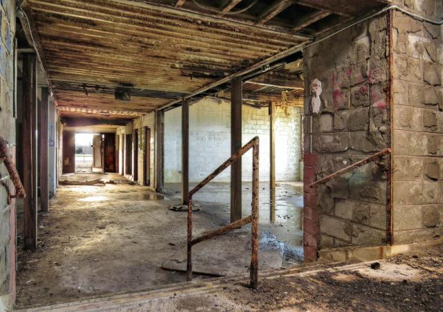 Spring 2021 - 006b.jpg