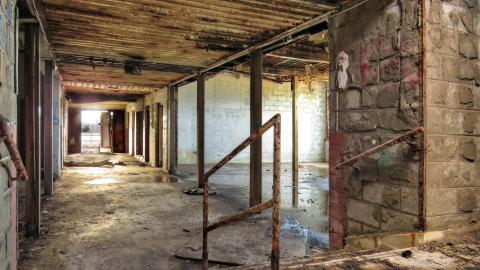 Lyons Creek Elementary School photo 5