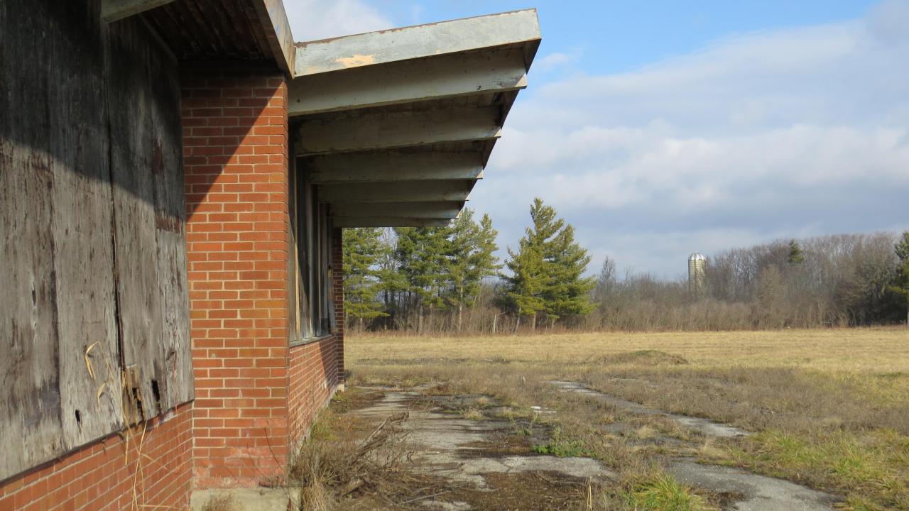 Spring 2021 - 010b.jpg