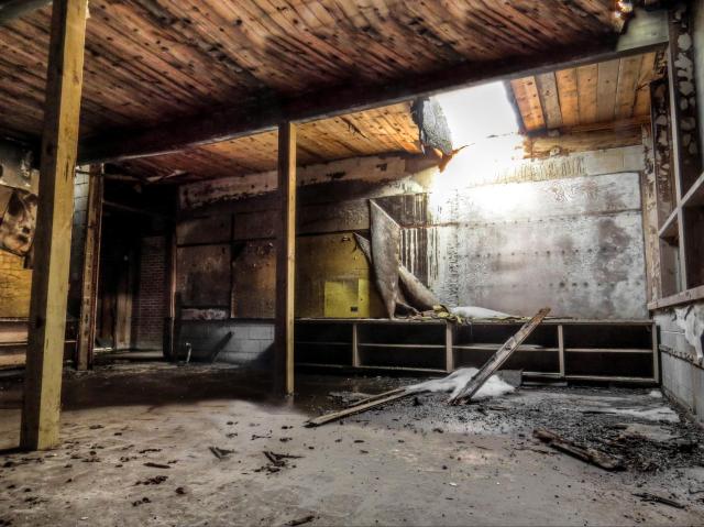 Spring 2021 - 011a.jpg