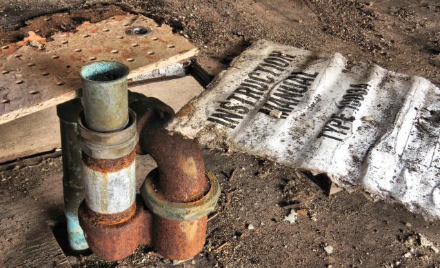 Spring 2021 - 013b.jpg