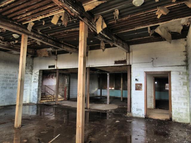 Spring 2021 - 014a.JPG