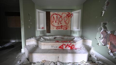 Not Much - _DSC8116.JPG