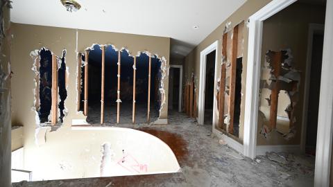 Not Much - _DSC8118.JPG