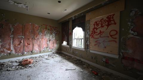 Not Much - _DSC8114.JPG