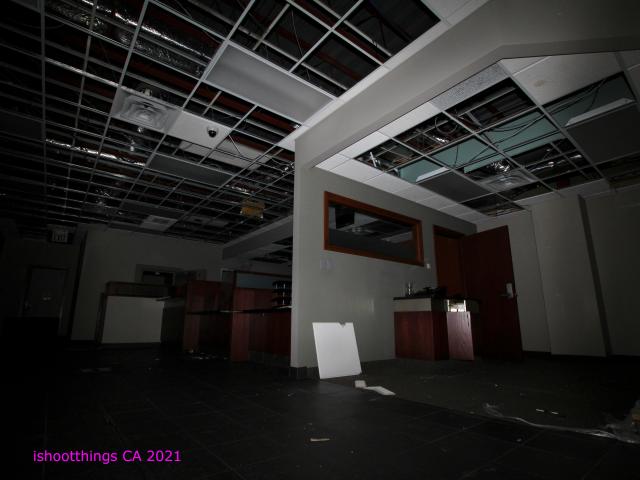 Credential INsecuritues photo 4