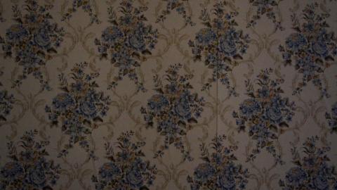 Ye Olde Apartments (+ Exteriors) - IMG_8577.JPG