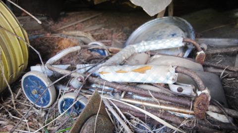 Longwoods Road Farm Market - Indoor Yard Sale photo 4