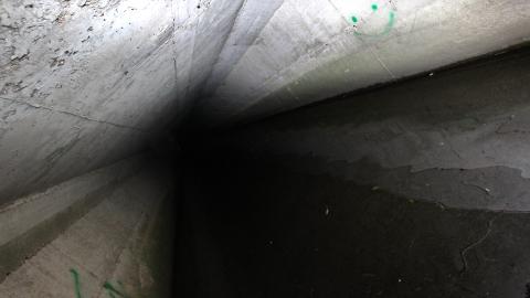 Up The Trash Panda Hole.... - IMG_8156.JPG