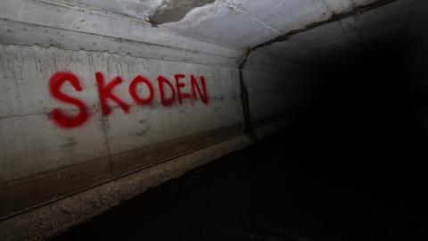 Up The Trash Panda Hole.... - IMG_8169.JPG