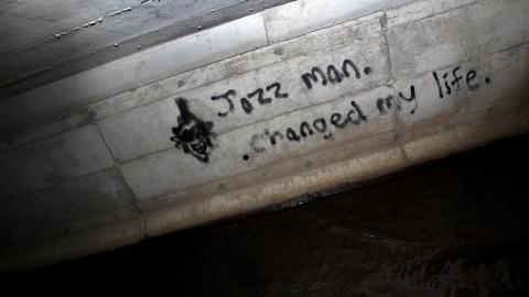 Up The Trash Panda Hole.... - IMG_8171.JPG