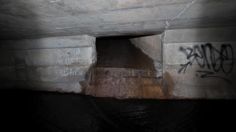 Up The Trash Panda Hole.... - IMG_8176.JPG