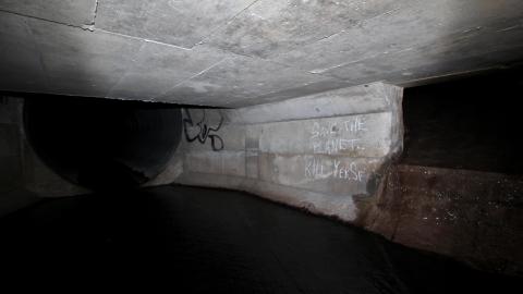 Up The Trash Panda Hole.... - IMG_8177.JPG