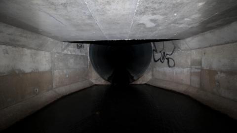 Up The Trash Panda Hole.... - IMG_8179.JPG