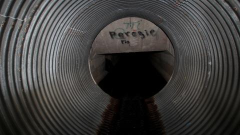 Up The Trash Panda Hole.... - IMG_8181.JPG