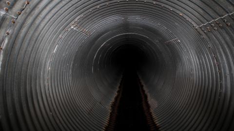 Up The Trash Panda Hole.... - IMG_8182.JPG