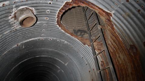 Up The Trash Panda Hole.... - IMG_8189.JPG