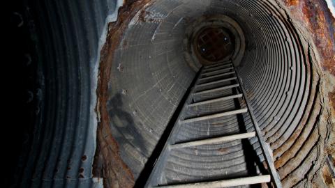 Up The Trash Panda Hole.... - IMG_8198.JPG