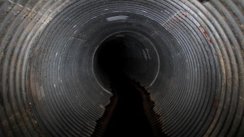 Up The Trash Panda Hole.... - IMG_8203.JPG