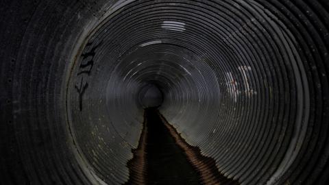 Up The Trash Panda Hole.... - IMG_8208.JPG