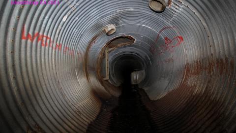 Up The Trash Panda Hole.... - IMG_8214.JPG