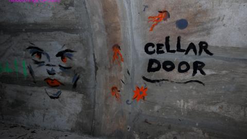 Up The Trash Panda Hole.... - IMG_8221.JPG