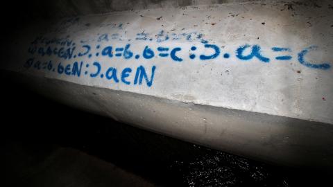 Up The Trash Panda Hole.... - IMG_8223.JPG