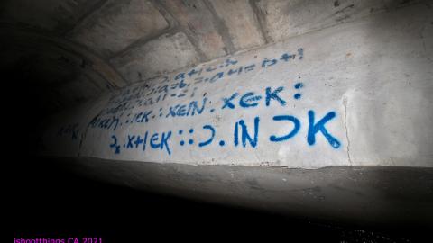 Up The Trash Panda Hole.... - IMG_8224.JPG