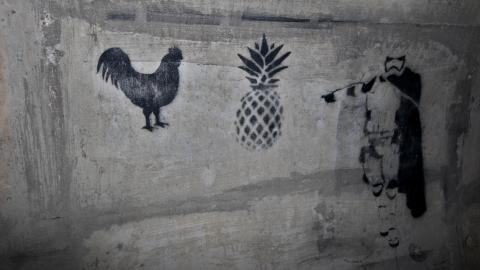 Up The Trash Panda Hole.... - IMG_8227.JPG