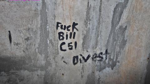 Up The Trash Panda Hole.... - IMG_8228.JPG